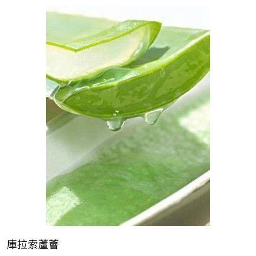GB Intensive Aloe Reppairing Mask 蘆薈保濕抗氧化面膜200ml GB Intensive Aloe Reppairing Mask 蘆薈保濕抗氧化面膜200ml